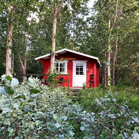Bakkakot 3 Cozy Cabin In The Woods Akureyri Exterior foto