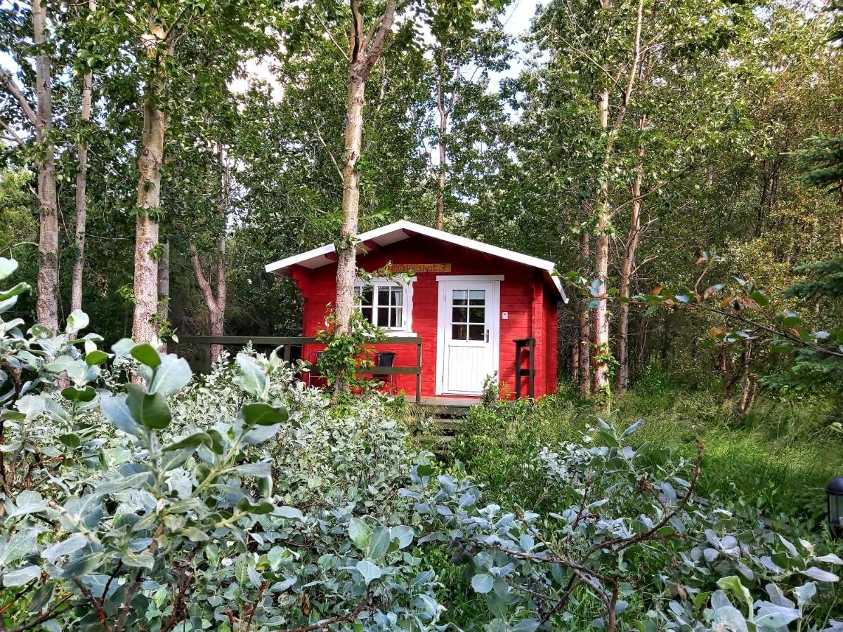 Bakkakot 3 Cozy Cabin In The Woods Akureyri Exterior foto
