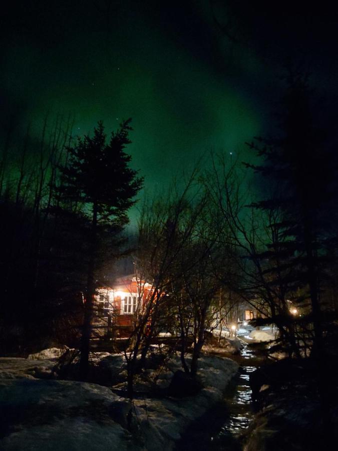 Bakkakot 3 Cozy Cabin In The Woods Akureyri Exterior foto