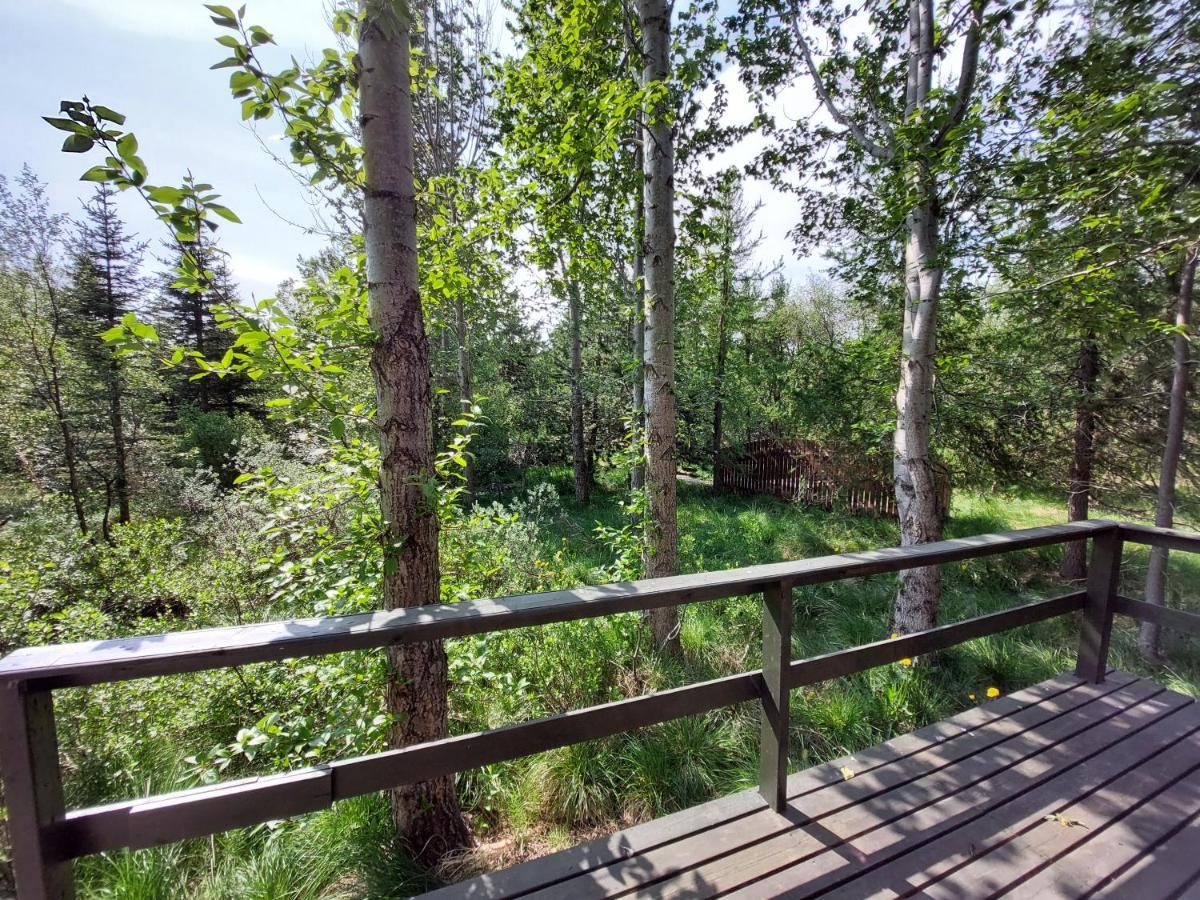Bakkakot 3 Cozy Cabin In The Woods Akureyri Exterior foto
